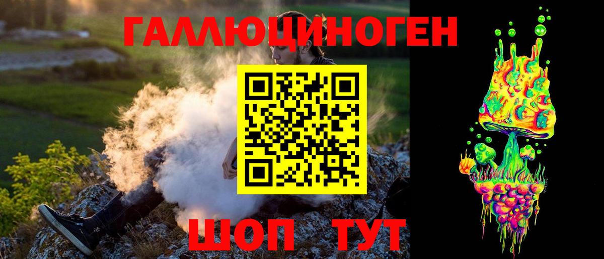 Чернушка  Галлюциногенные грибы Cubensis  Вход с VPN 