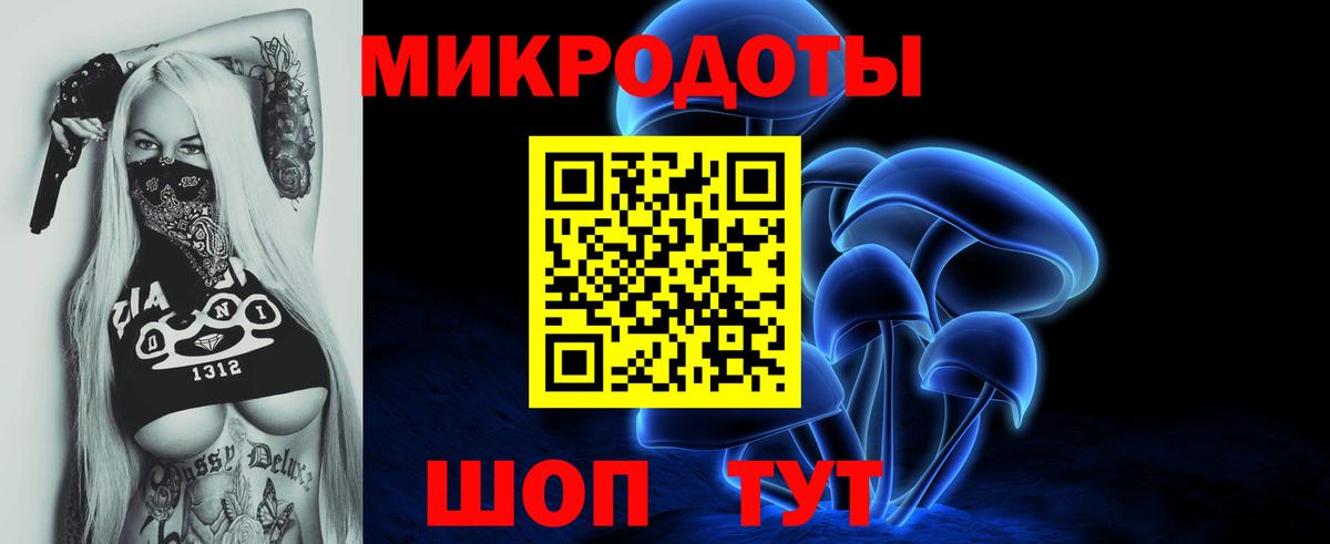 Галлюциногенные грибы мухоморы Чернушка